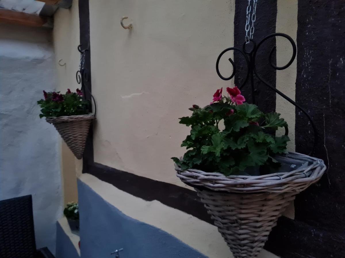 Ferienhaus Schatzliebe Quedlinburg Bagian luar foto